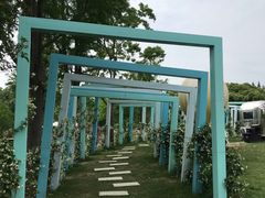 -同里国家湿地公园