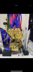 -LJOY丽锦造型·烫发染发