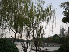 -南翔镇银翔湖公园