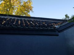 -泰州凤城河风景区-泰山公园