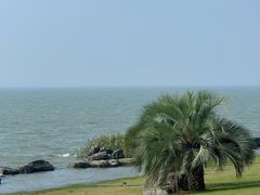 -苏州湾体育公园