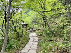 -濂泉响谷
