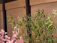 -極屋鮨牛 · 烧肉酒场(时代C馆店)