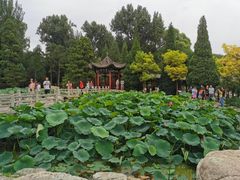 -晋祠公园