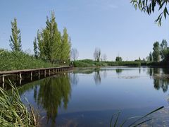 -白洋淀锅里口灶台鱼