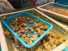 -海中洲渔社