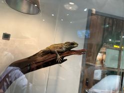 -Zoolung Zoolung动物主题公园(海信广场店)