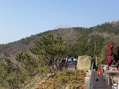 -怪坡茶馆