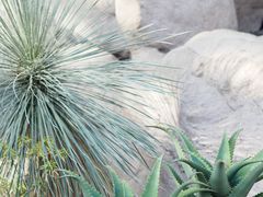 -北京植物园-展览温室