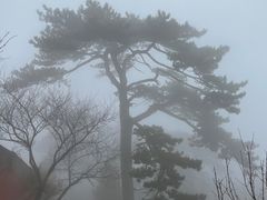 -妙峰山风景名胜区
