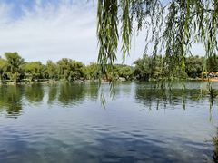 -承德避暑山庄景区