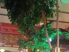 -和源祥·日照菜扛把子(万平口一店)