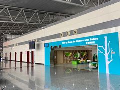 -石家庄正定国际机场-T2航站楼