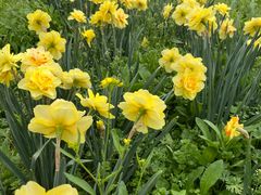 -泗洪洪泽湖湿地景区