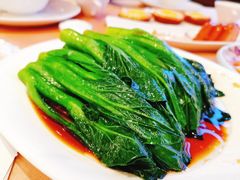 -宝园酒家(美林M·LIVE天地东座店)