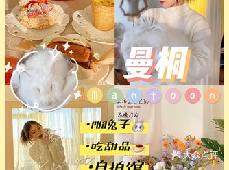 兔子真可爱！大蛋挞真好吃！！