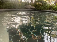 -海兰云天度假区温泉