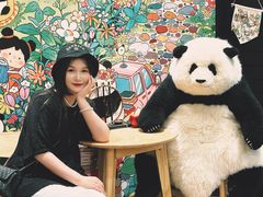-轩客会(熊猫书店)