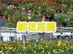 -上海山野camping·户外天幕烧烤·团建拓展营地