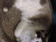 -零纪元VR体验馆·桌游(黄浦店)