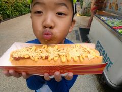 -新加坡水上探险乐园