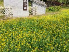-北坞公园