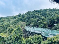 -海南槟榔谷黎苗文化旅游区