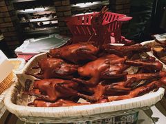 -鸽子侯·家宴·平价海鲜(市图书馆店)
