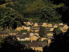 -杨家堂村