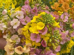 -白鹭湾湿地公园