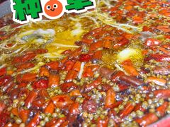 -雲蜀龙阁·金牌水煮鱼(方庄店)