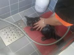 -宠颐生动物医院·心脏科·保险定点(锦阳分院)