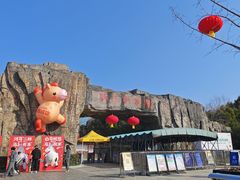 -合肥野生动物园