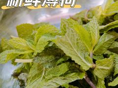 薄荷菜-熊氏牛羊杂粉(龙眼井总店)