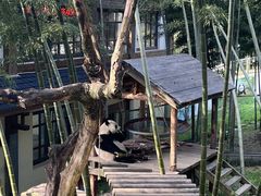 -天目湖御水温泉·度假酒店