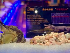 鳄鱼肉-九月海·海鲜自助(世纪东方店)