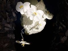 -成都许燎源现代设计艺术博物馆