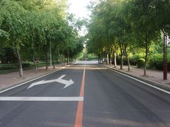 -吉林大学(前卫南区)