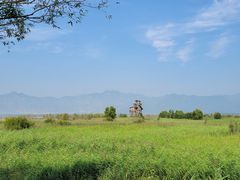 -野鸭湖国家湿地公园