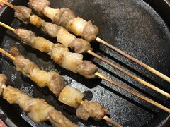只撒盐的羊肉串-蒙料·手把肉(望京店)