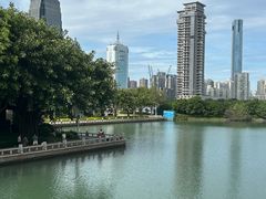 -白鹭洲公园