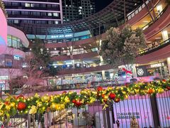 -瑞虹新天地月亮湾