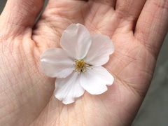 -卓粤拉肠(红庙店)