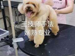 -暖阳宠物医院·犬猫康复中心·骨科