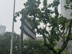 -上海中心大厦
