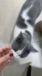 -ChuLian初莲日式美甲美睫