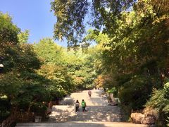 -岳麓山风景名胜区