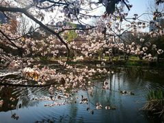 -北海道厅旧本厅舍(旧本庁舎)