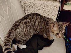 -逃脱反斗城沉浸剧情密室(北京路店)