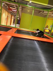 点击看大图 -宝燕乐园(闵行旗舰店)